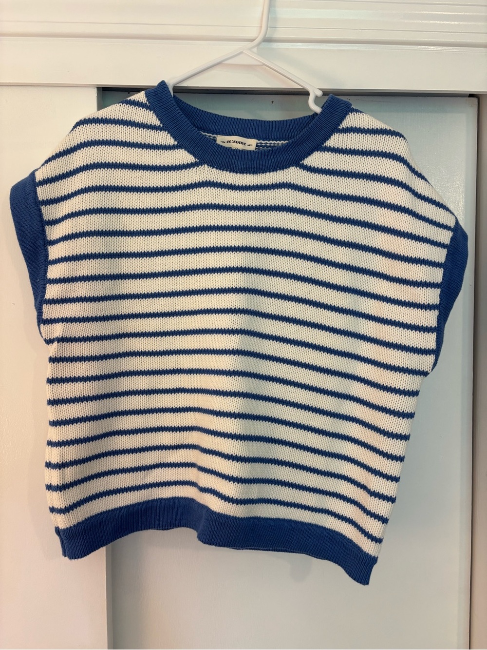 eesome Blue & White Striped Knit Vest